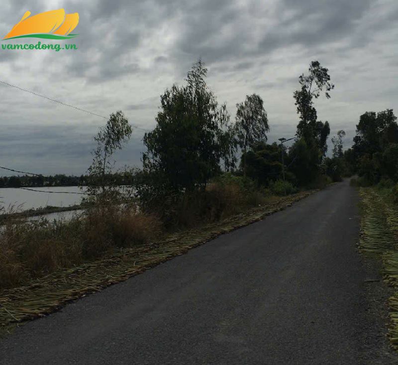 27.399.01 11427m2 đất lúa có 1405m2 thổ cư xã Mộc Hóa